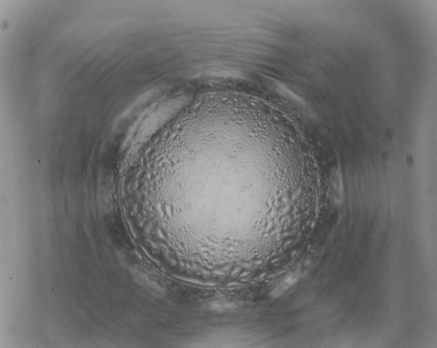X0000069401014200605192233