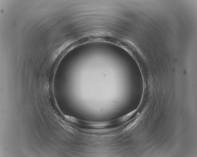 X0000069401065200605192233