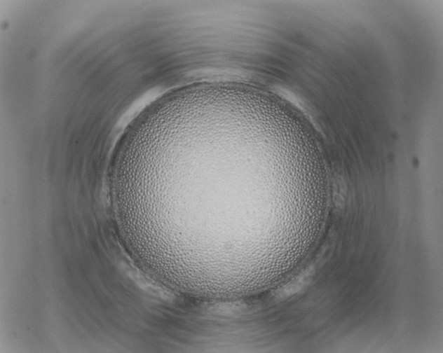 X0000069401074200605192233