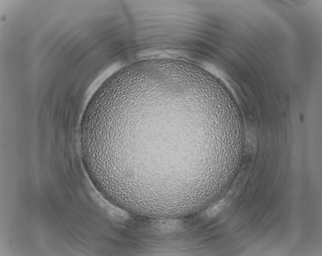 X0000069401090200605192233