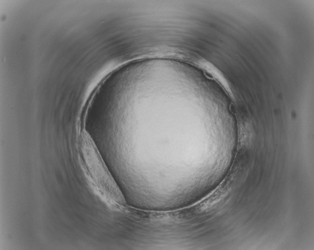 X0000069401099200605192233