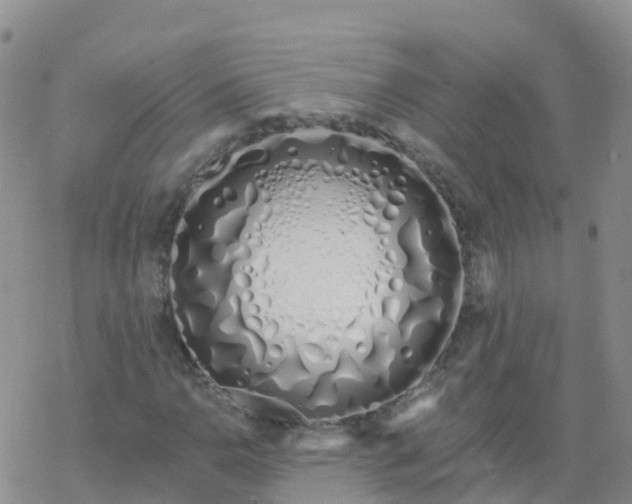 X0000069401110200605192232