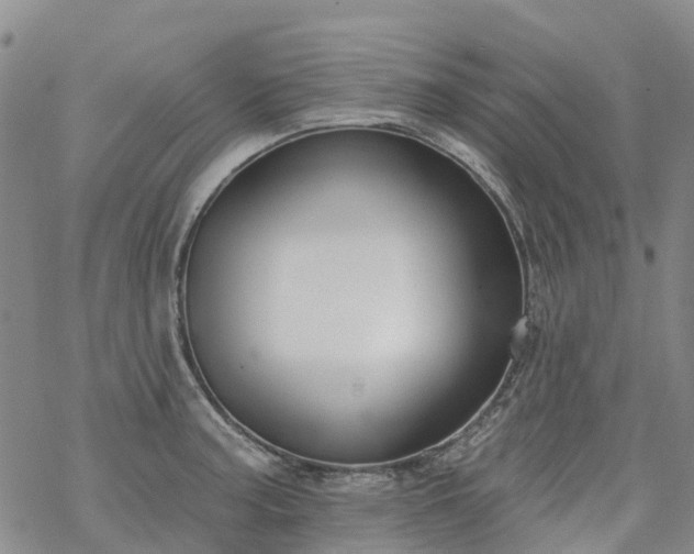 X0000069401187200605192231