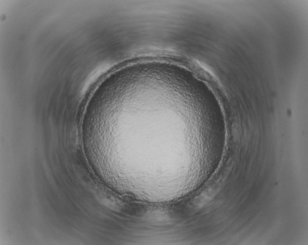 X0000069401267200605192230