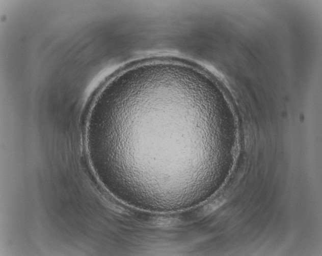 X0000069401271200605192230