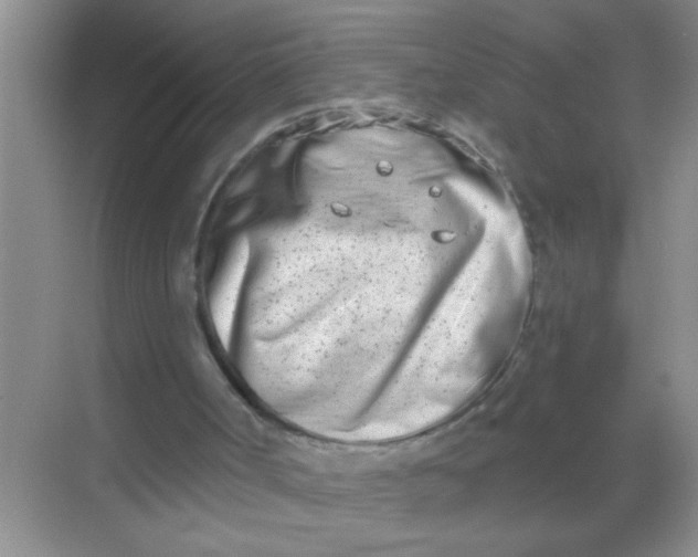 X0000069400002200605262155