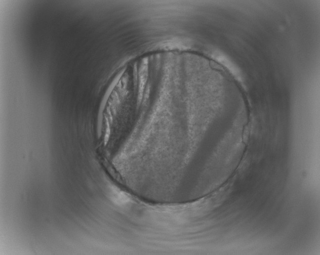 X0000069400009200605262155