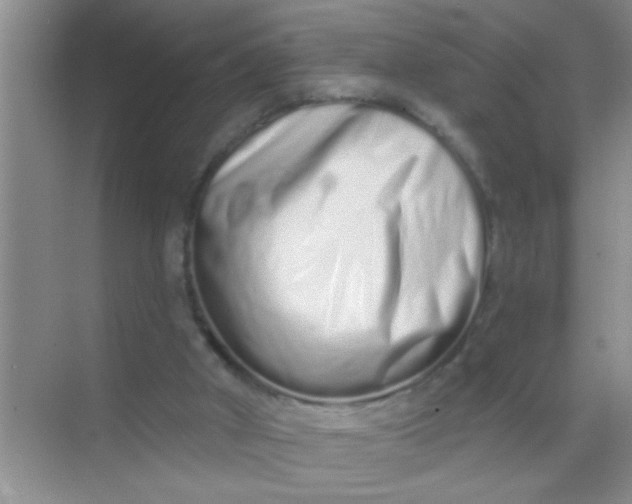 X0000069400010200605262155