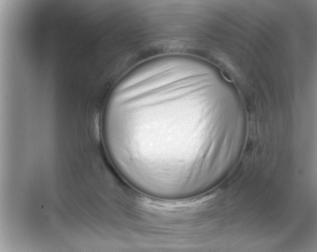 X0000069400022200605262155