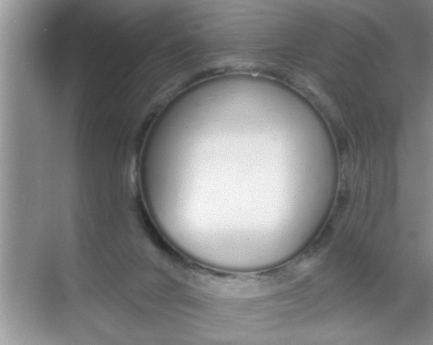 X0000069400024200605262154