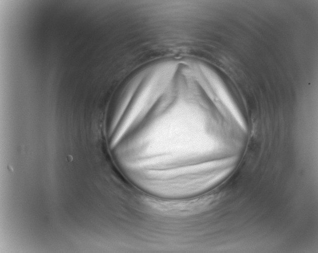 X0000069400030200605262154