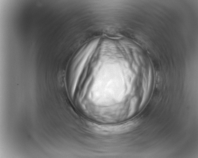 X0000069400034200605262154