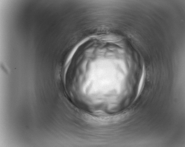 X0000069400038200605262154