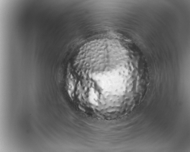 X0000069400043200605262154