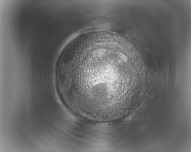 X0000069400054200605262153