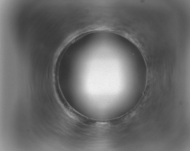 X0000069400055200605262153