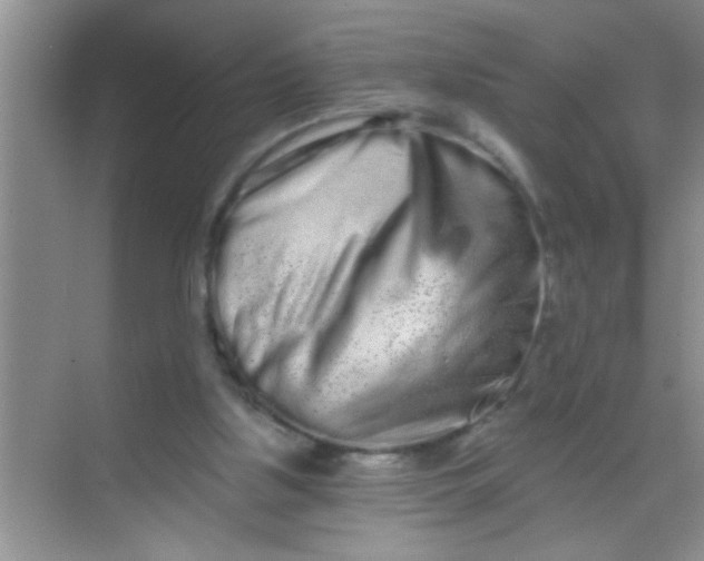 X0000069400059200605262153