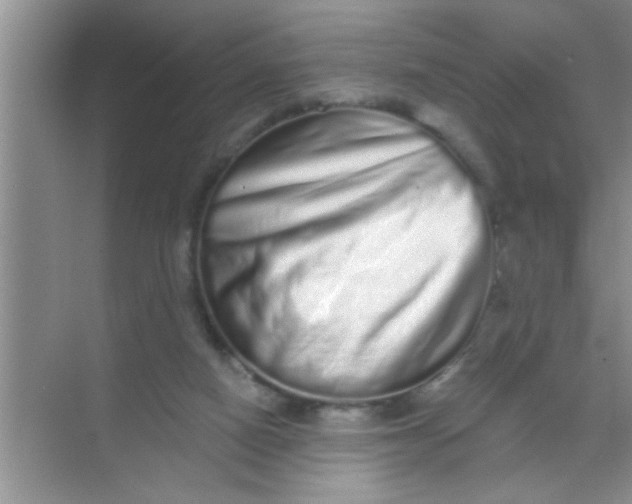 X0000069400066200605262154