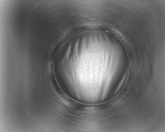 X0000069400071200605262154