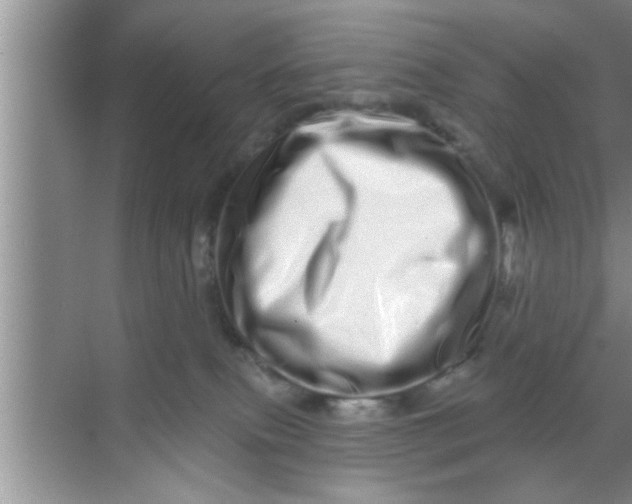 X0000069400087200605262154