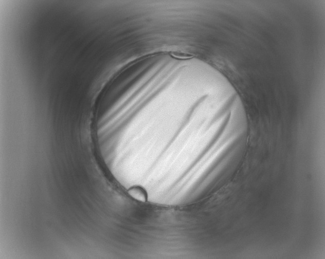 X0000069400098200605262153
