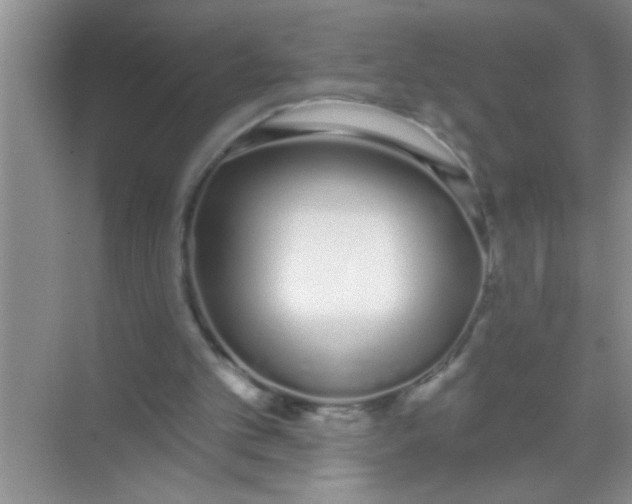 X0000069400101200605262153
