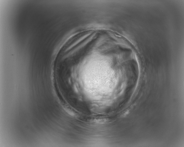 X0000069400103200605262153