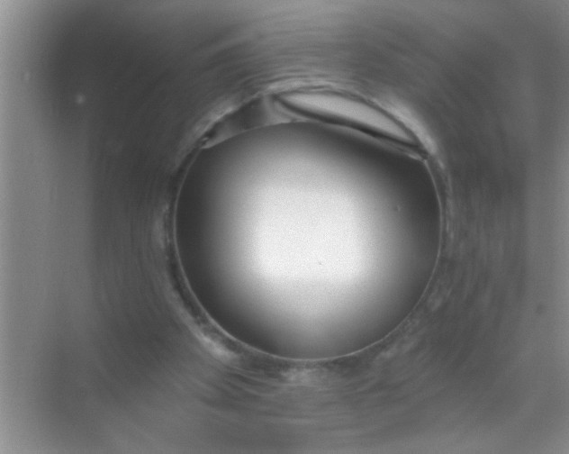 X0000069400105200605262153