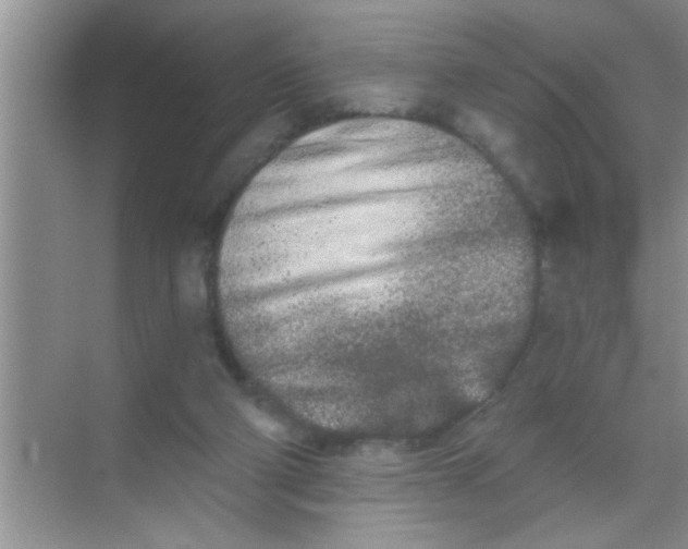 X0000069400114200605262153