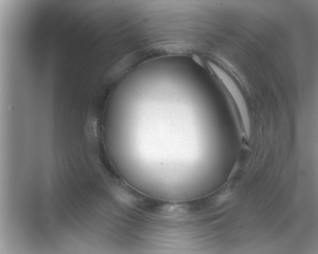 X0000069400117200605262153