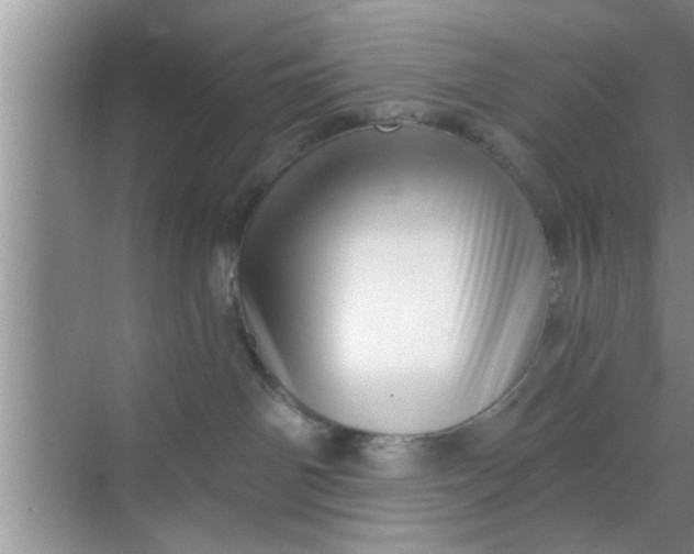 X0000069400142200605262153