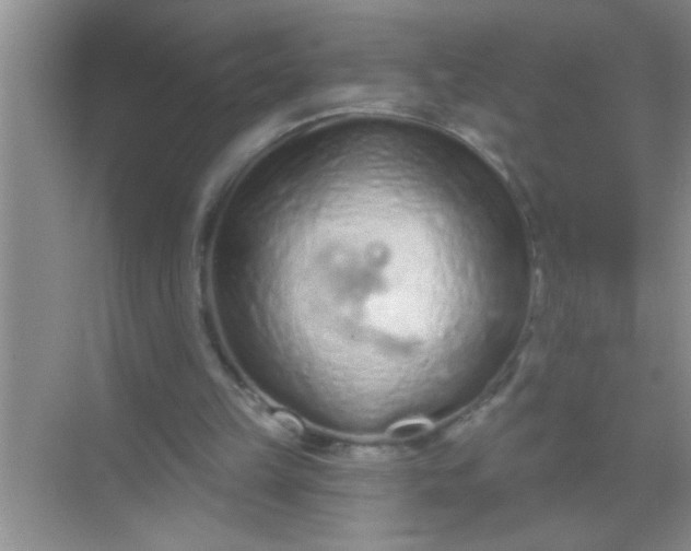 X0000069400149200605262152