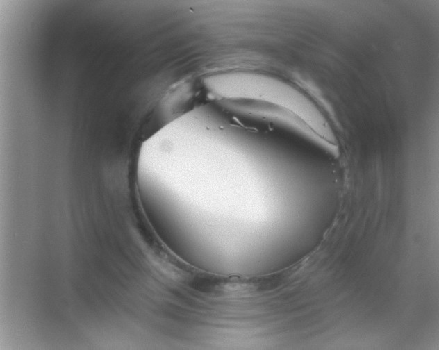 X0000069400154200605262152