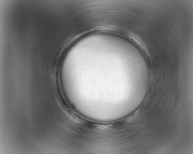 X0000069400155200605262152