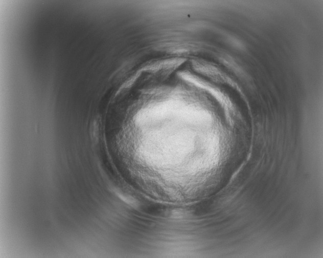 X0000069400165200605262152