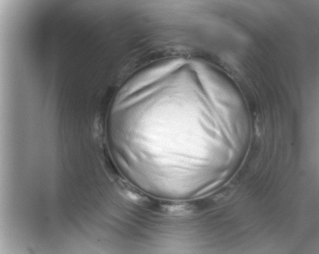 X0000069400173200605262152