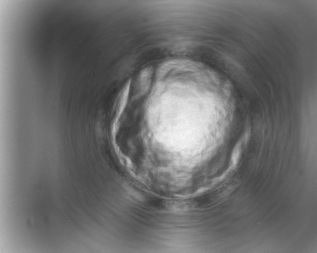 X0000069400181200605262152