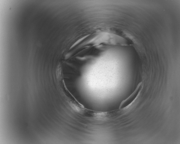 X0000069400192200605262152
