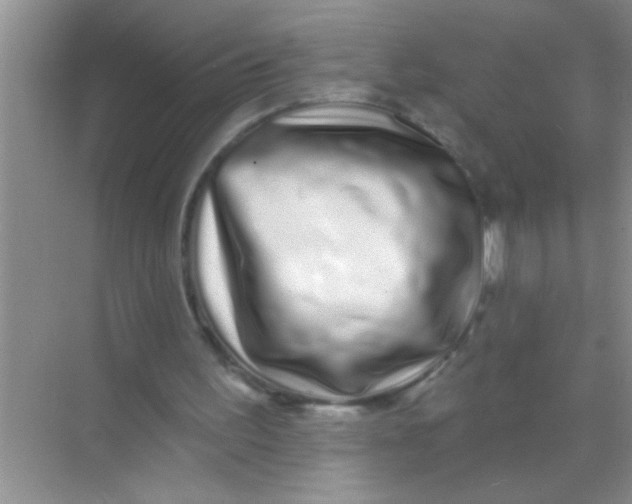 X0000069400195200605262152