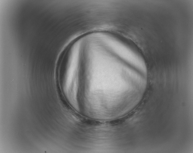 X0000069400196200605262152