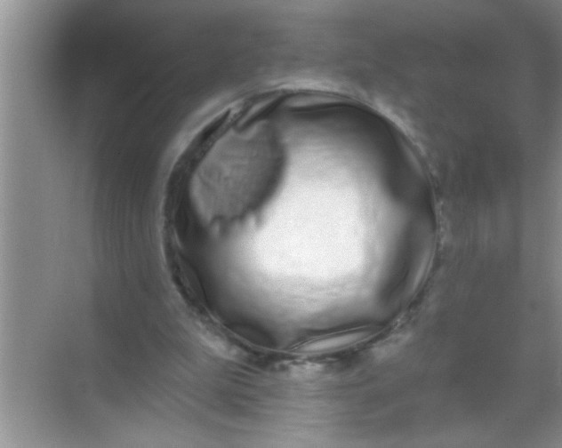 X0000069400199200605262152