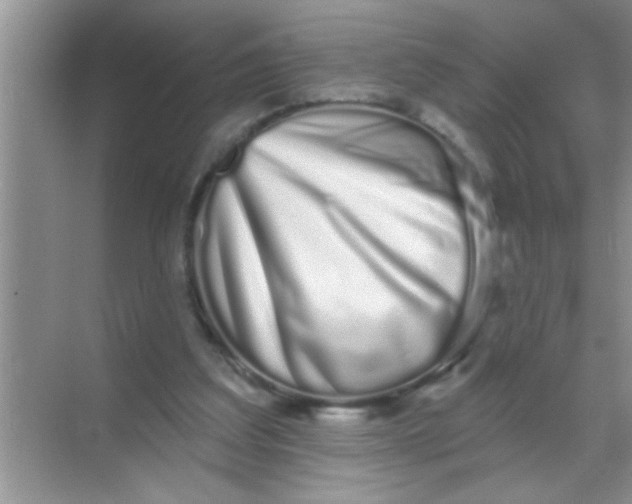 X0000069400203200605262151