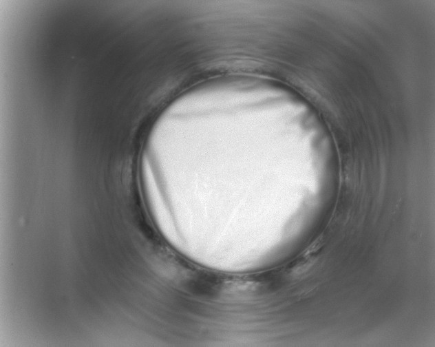 X0000069400206200605262151