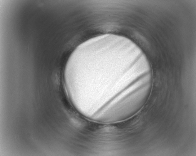 X0000069400210200605262151