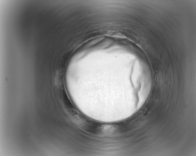 X0000069400218200605262151