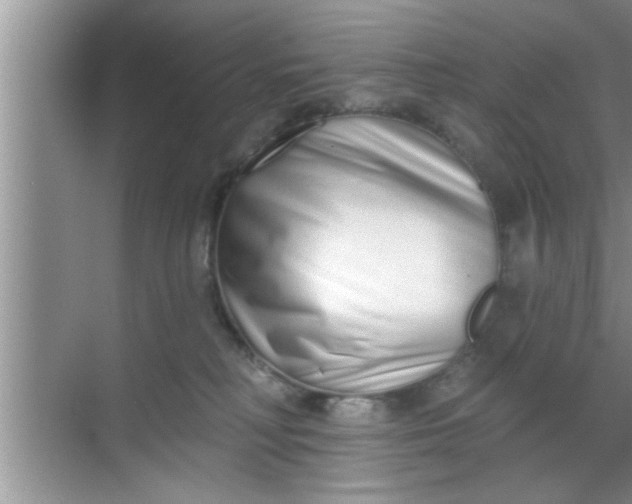 X0000069400230200605262151