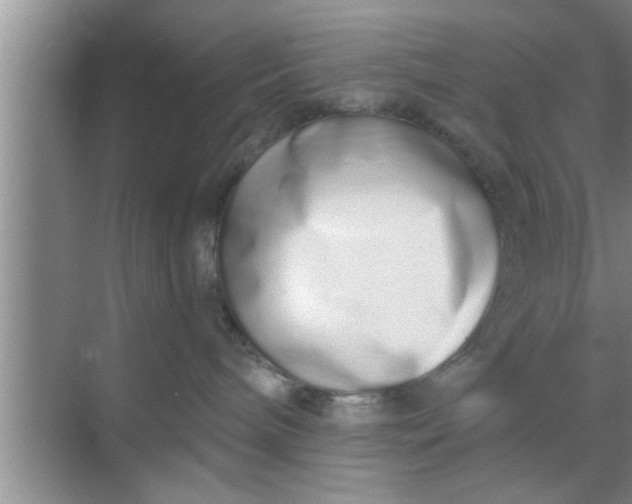X0000069400240200605262151