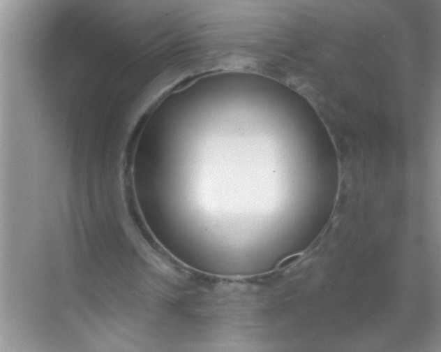 X0000069400242200605262150