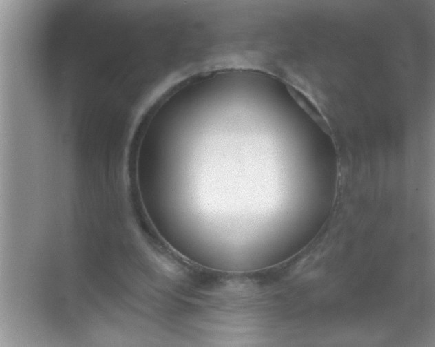 X0000069400248200605262150