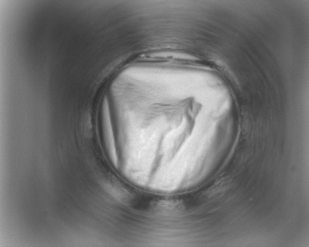 X0000069400251200605262150